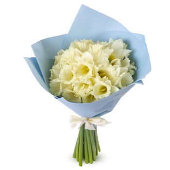 Букет из 21 белого нарцисса