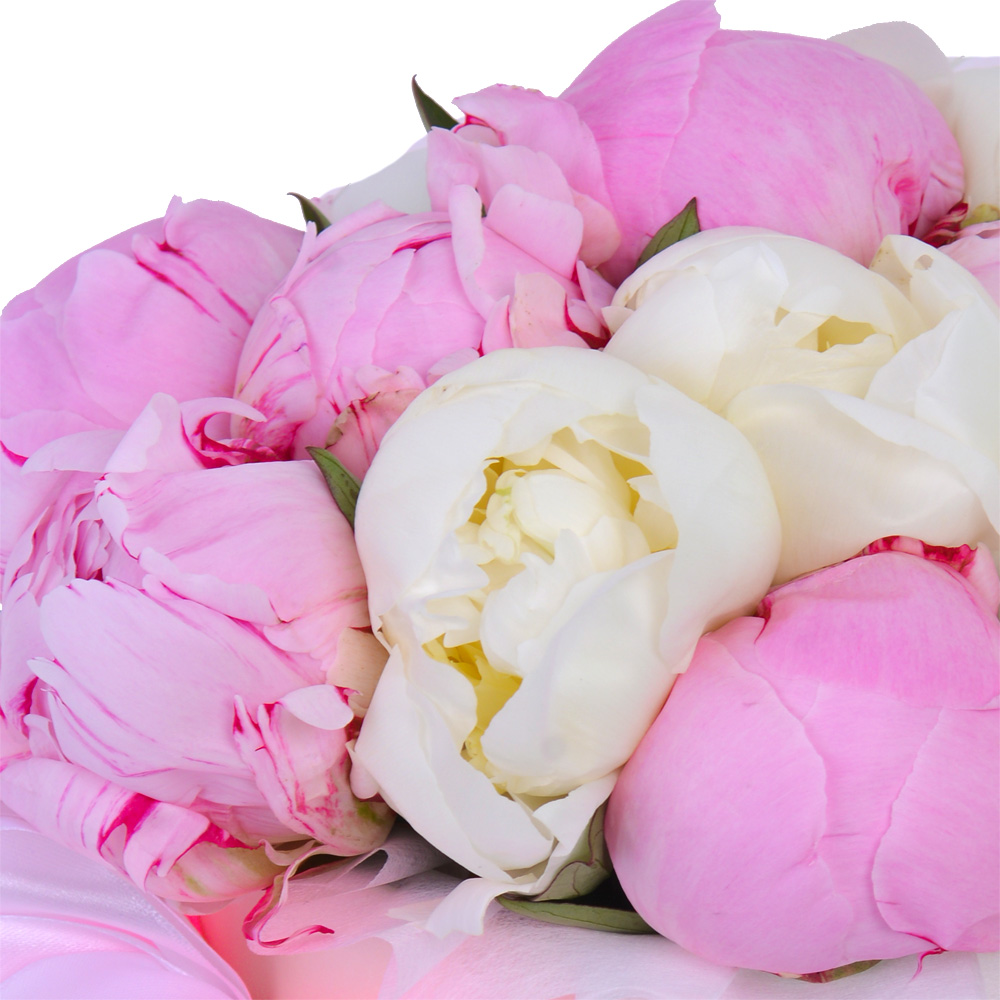 Букет из 11 разноцветных пионов в кремовой шляпной коробке