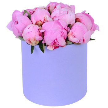 Букет из 11 розовых пионов в фиолетовой шляпной коробке