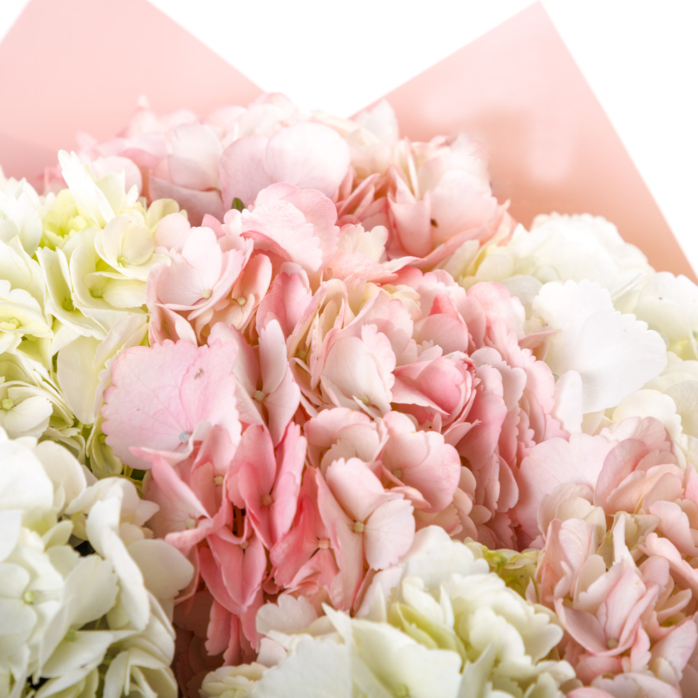 Букет из 9 разноцветных гортензий