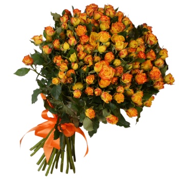 25 огненных кустовых роз