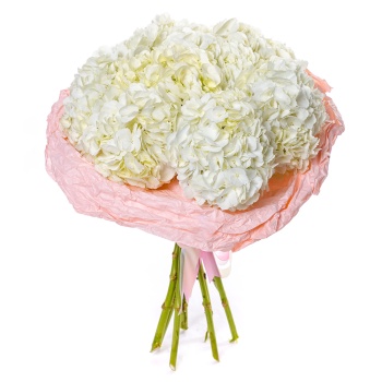 Букет из 9 белых гортензий