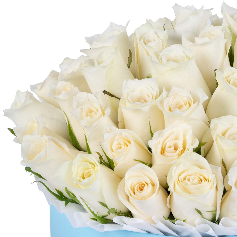 51 белая роза в голубой шляпной коробке