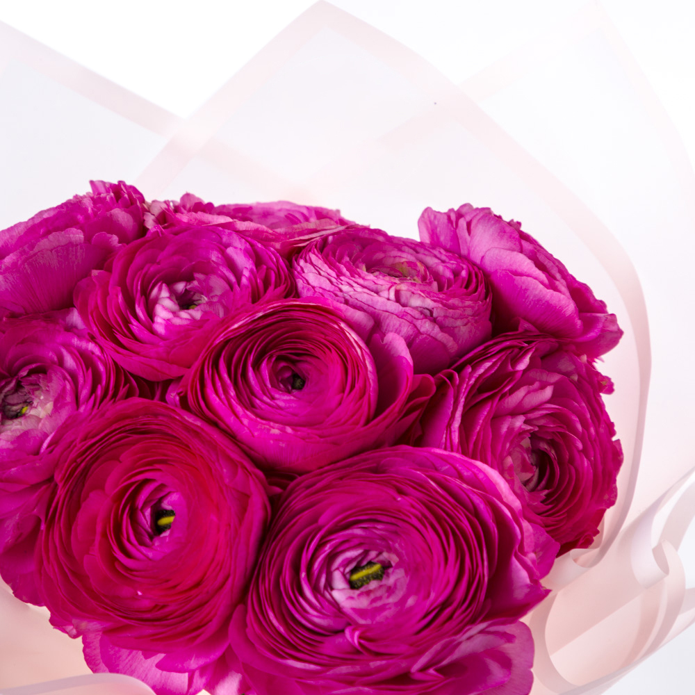 Букет из 9 малиновых ранункулюсов