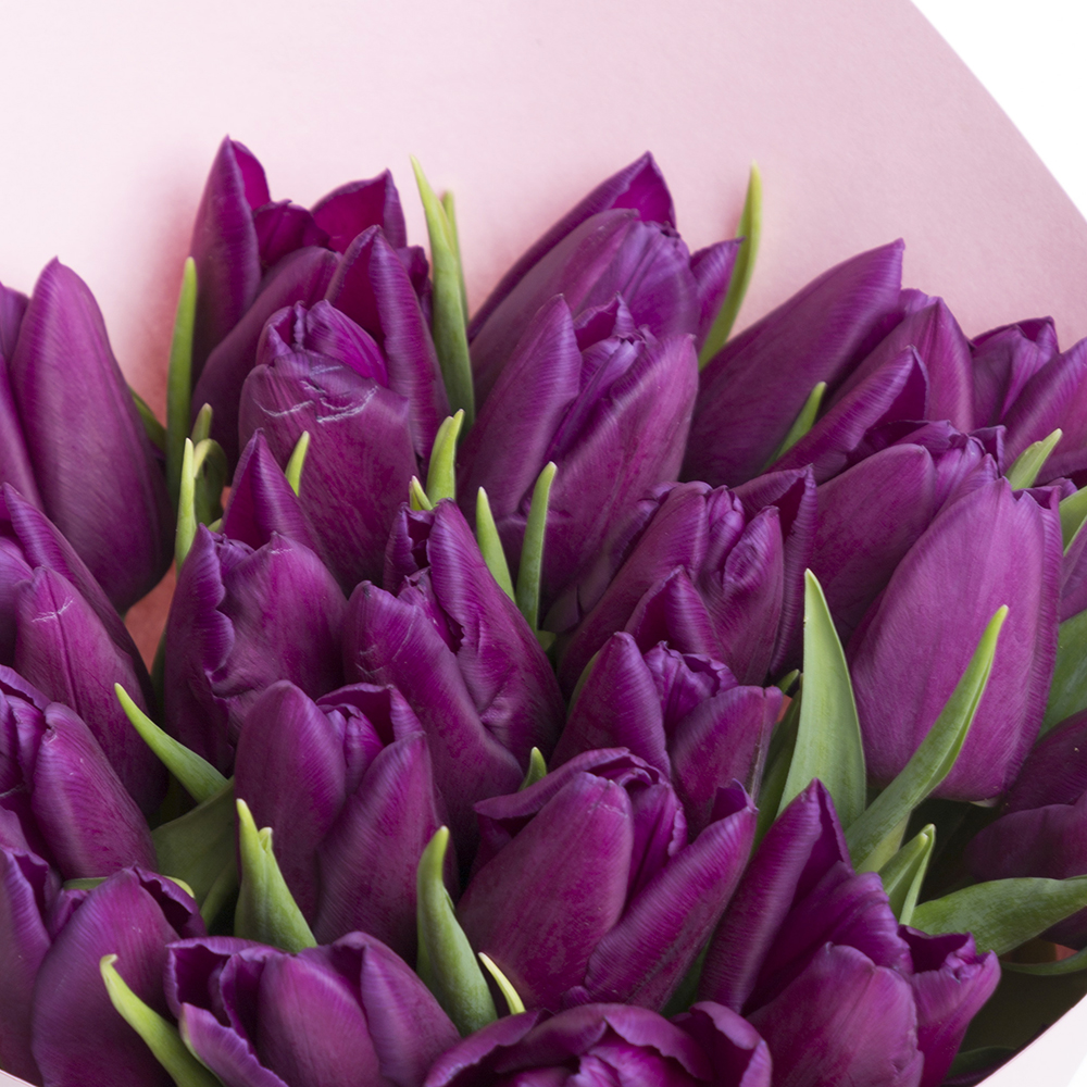 25 сиреневых тюльпанов в крафте