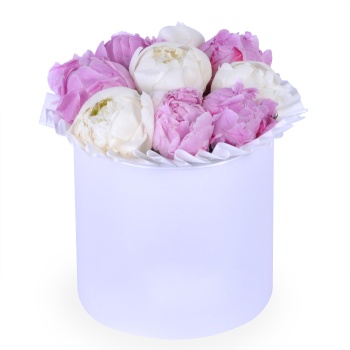 Букет из 9 разноцветных пионов в белой шляпной коробке
