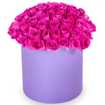 Букет из 75 розовых роз в фиолетовой шляпной коробке