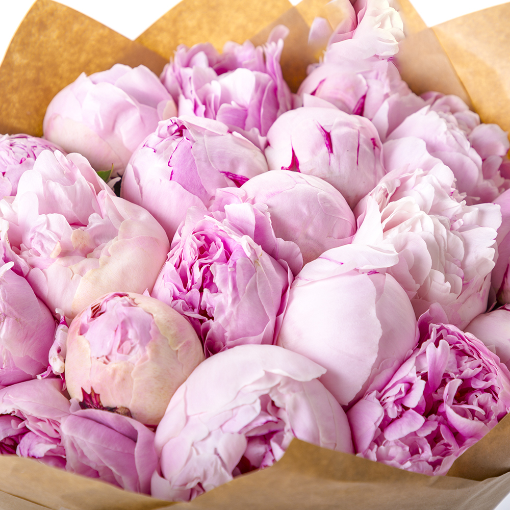 Букет из 19 розовых пионов