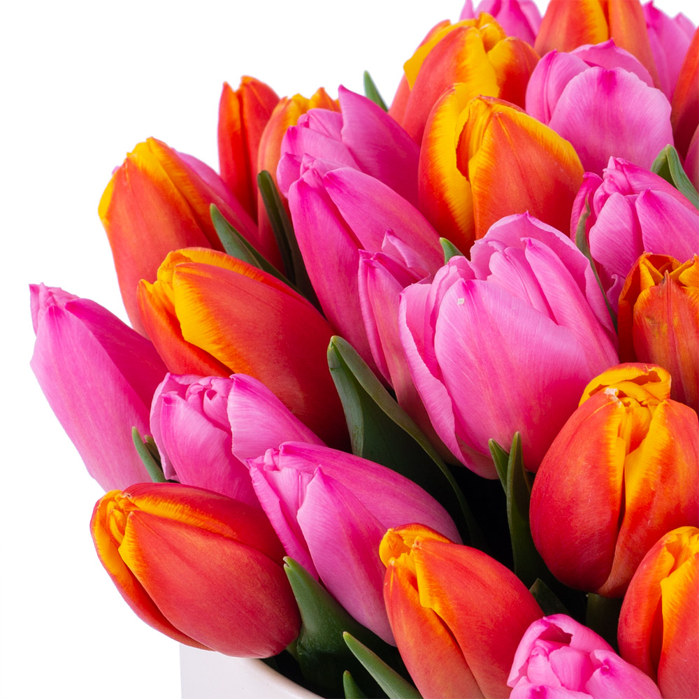 Букет микс из 51 тюльпана в кремовой шляпной коробке