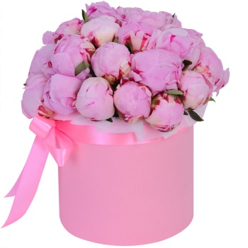 Букет из 25 розовых пионов в розовой шляпной коробке