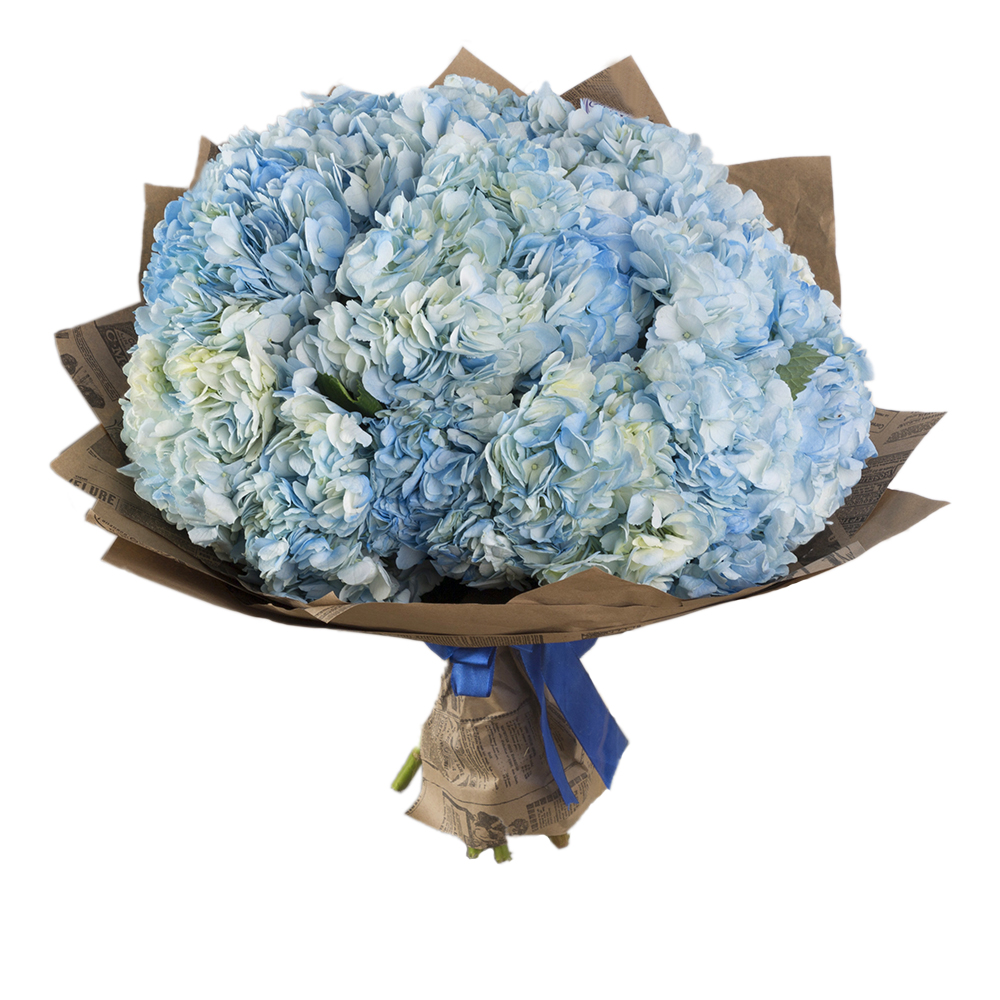 Букет из 15 голубых гортензий в крафте