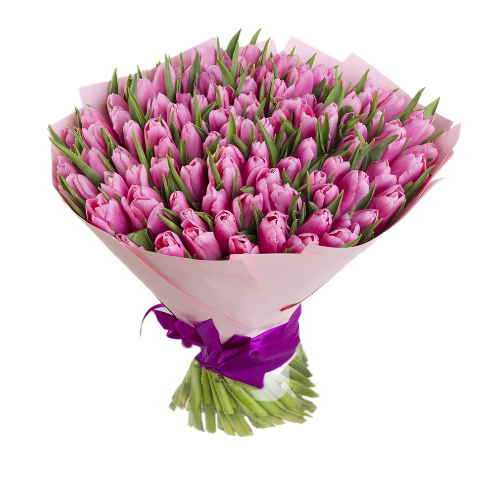 101 розовый тюльпан