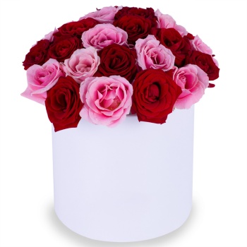 Букет из 35 разноцветных роз premium в белой шляпной коробке