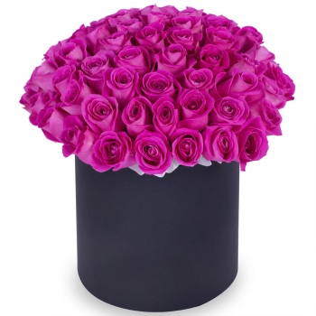 Букет из 75 розовых роз в черной шляпной коробке