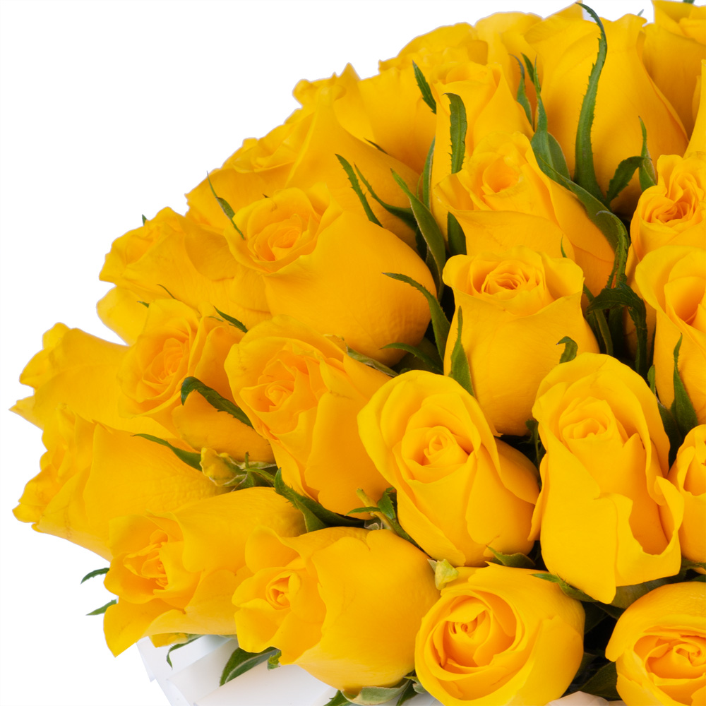 51 желтая роза в голубой шляпной коробке