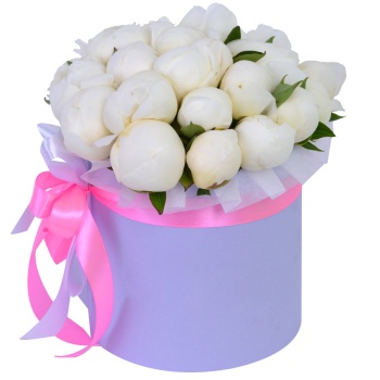 Букет из 25 белых пионов в фиолетовой шляпной коробке