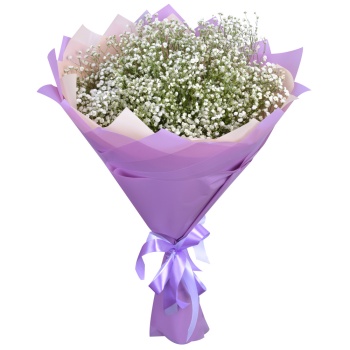 Букет из 11 белых гипсофил