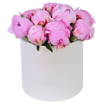 Букет из 11 розовых пионов в кремовой шляпной коробке