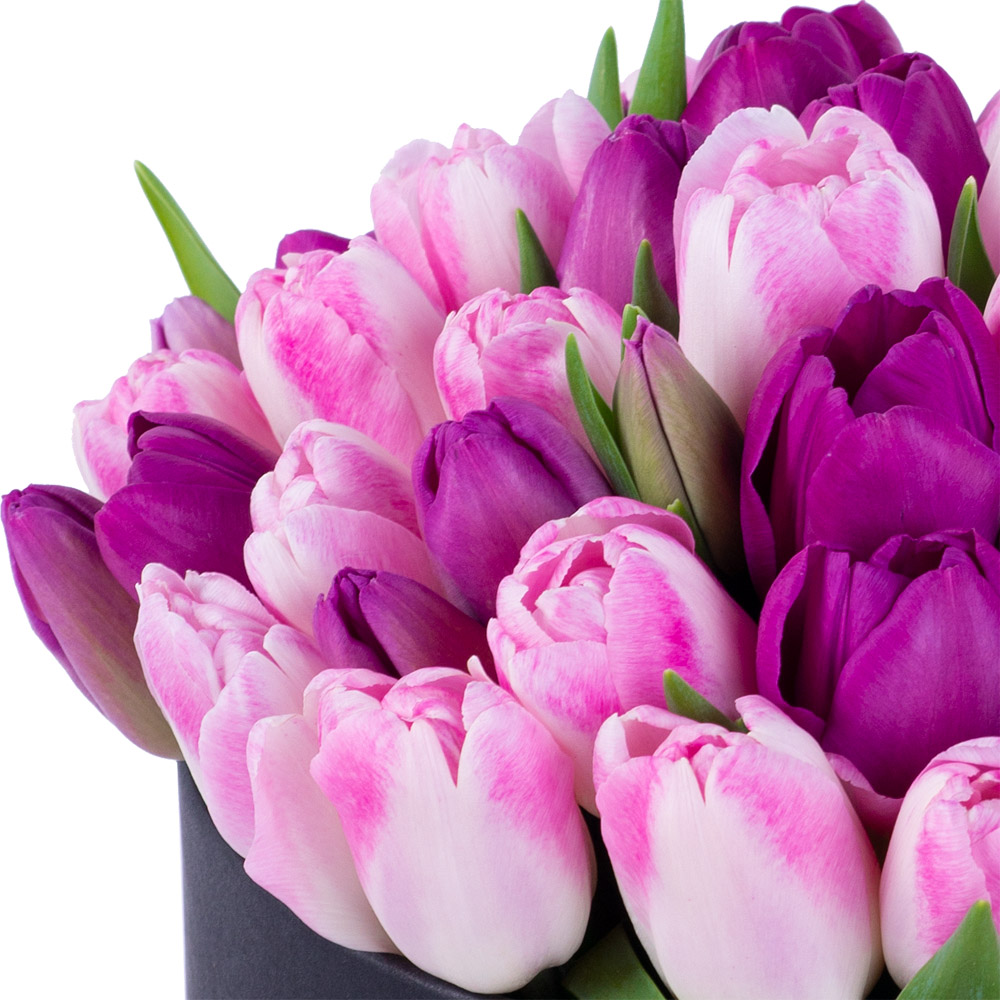 Разноцветный 51 тюльпан в черной шляпной коробке