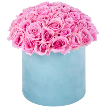 Букет из 51 розовой розы premium в бархатной шляпной коробке