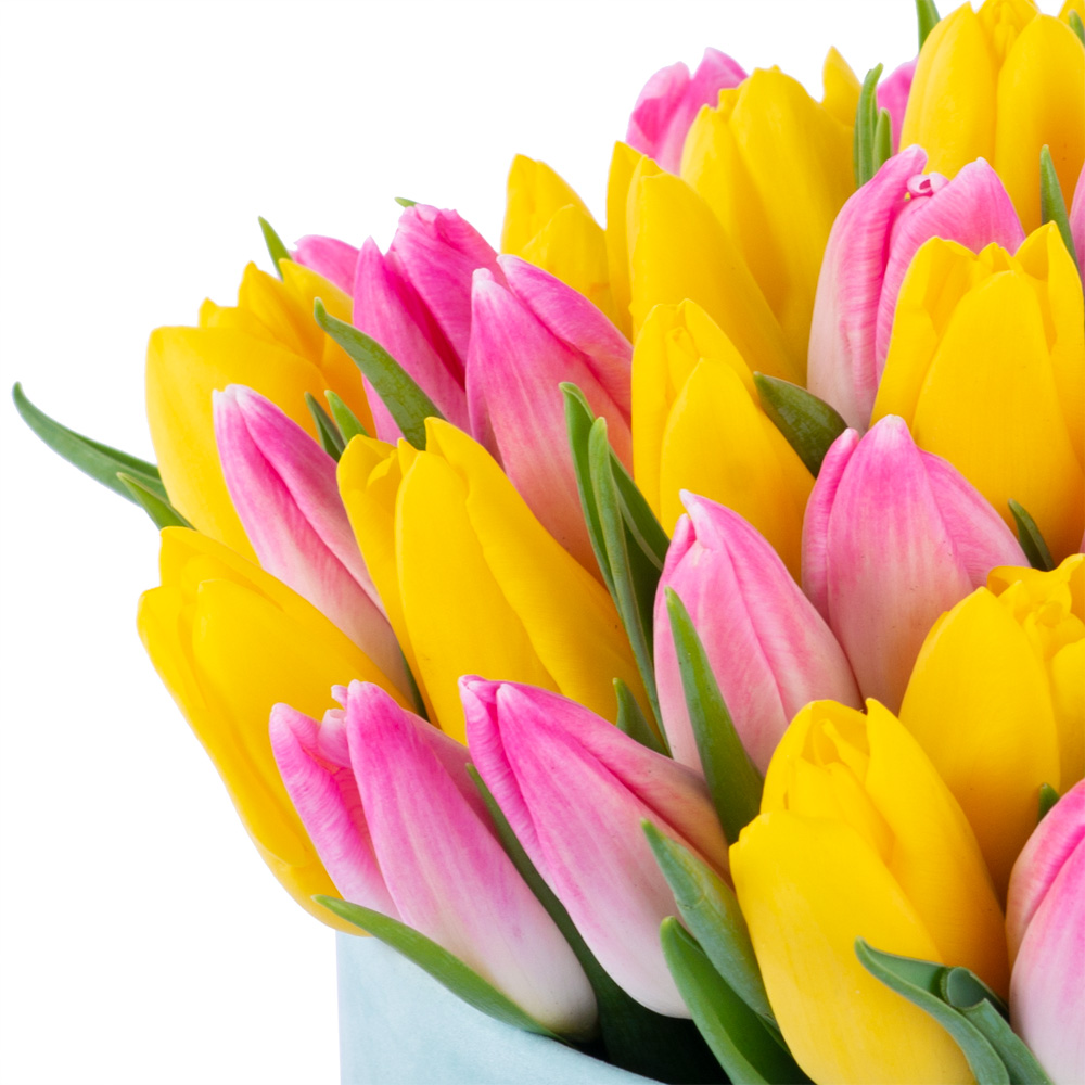 51 разноцветных тюльпан в зеленой бархатной шляпной коробке