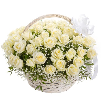 51 белая роза в корзине с гипсофилой