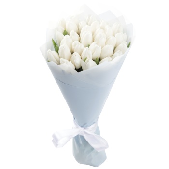 Букет из 31 белого тюльпана