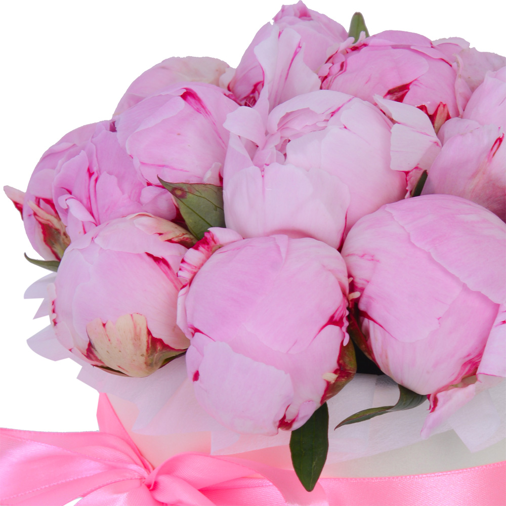 Букет из 15 розовых пионов в кремовой шляпной коробке