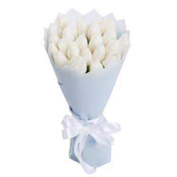 25 белых тюльпанов