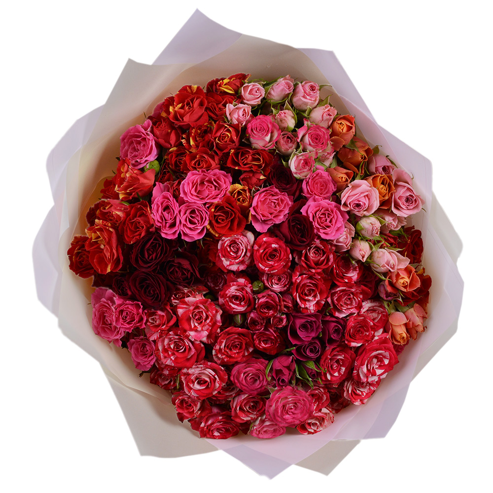 35 кустовых роз микс в пленке