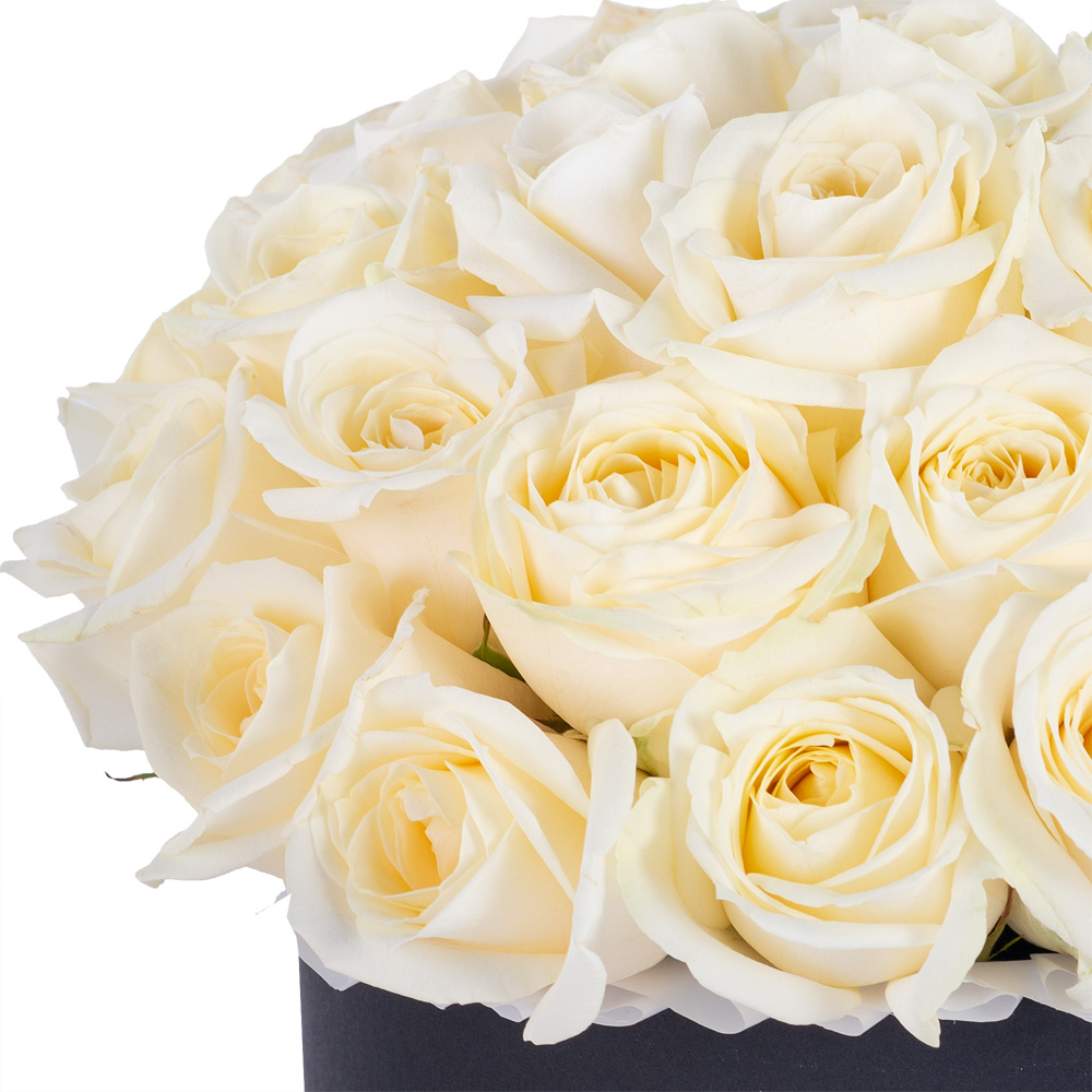 Букет из 35 белых роз premium в черной шляпной коробке