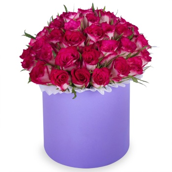 Букет из 51 бело-малиновой розы в фиолетовой шляпной коробке