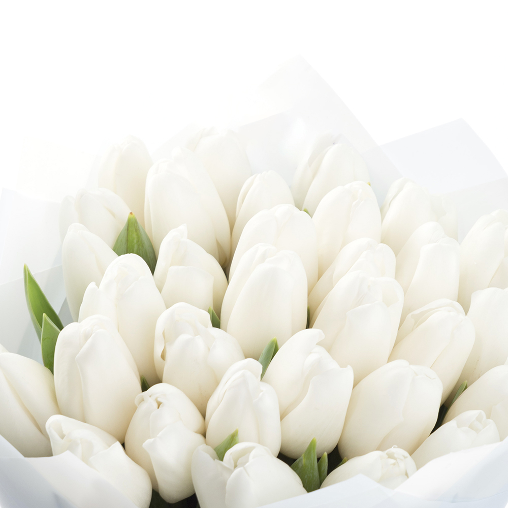 Букет из 31 белого тюльпана