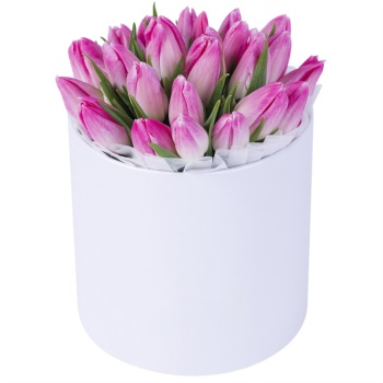 25 бело-розовых тюльпан в белой шляпной коробке