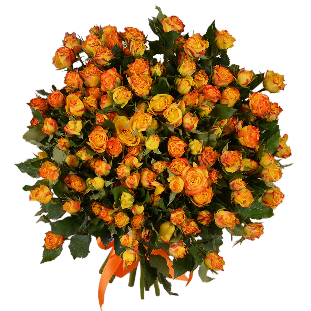 25 огненных кустовых роз