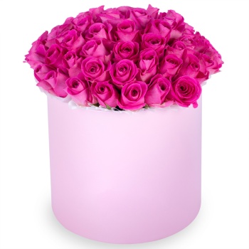 Букет из 51 розовой розы в розовой шляпной коробке
