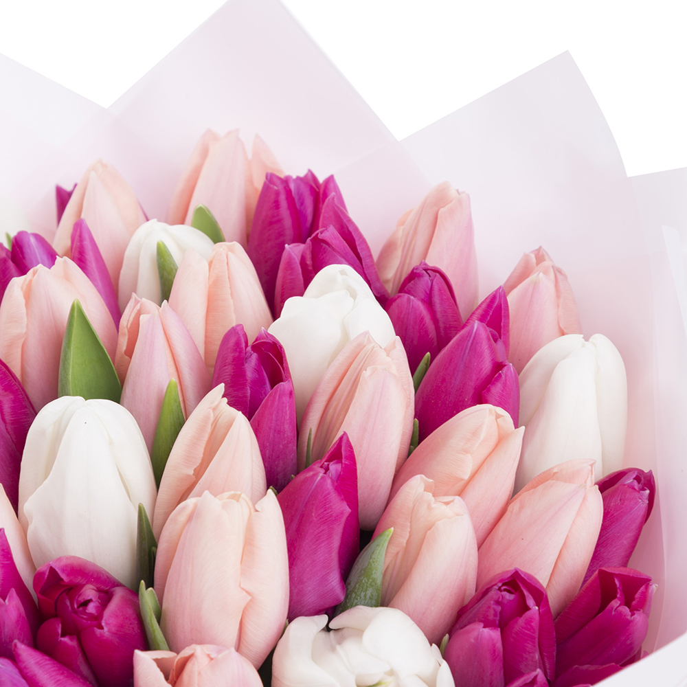 51 разноцветный тюльпан в пленке