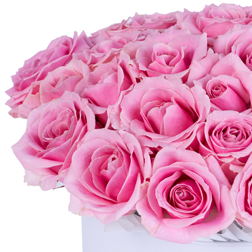 Букет из 25 розовых роз premium в белой шляпной коробке