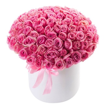 101 розовая роза в шляпной коробке