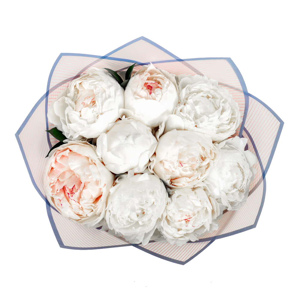 Букет из 9 пионов