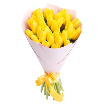 31 желтый тюльпан