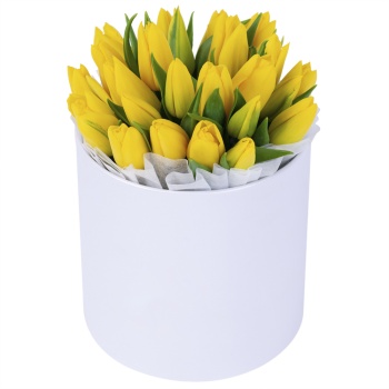 25 желтых тюльпан в белой шляпной коробке