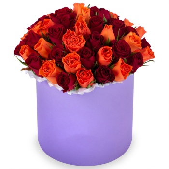 51 разноцветная роза в фиолетовой шляпной коробке