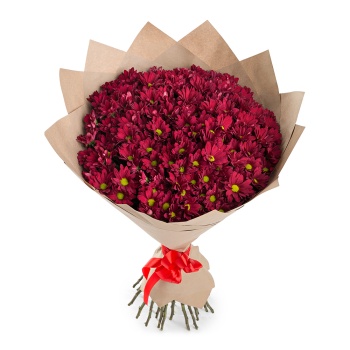Букет из 25 красных хризантем