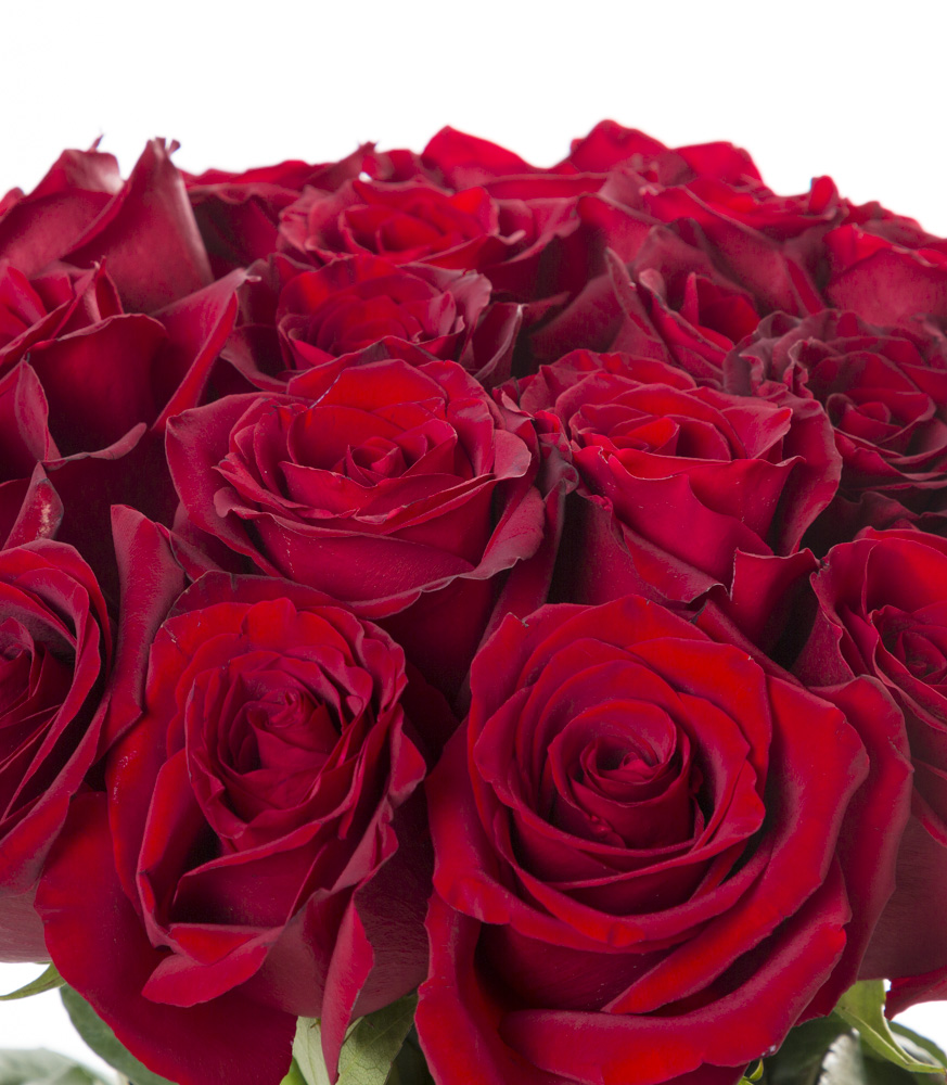 19 красных роз Эквадор 70 см