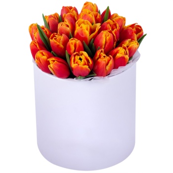 25 огненных тюльпан в белой шляпной коробке