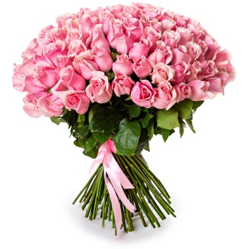 101 розовая роза Эквадор 70 см