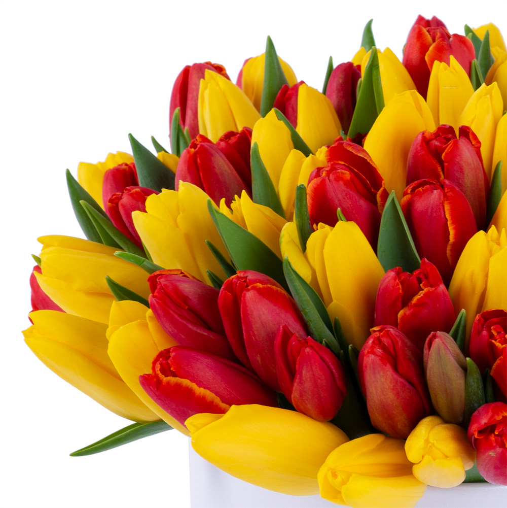 101 микс тюльпанов в белой шляпной коробке