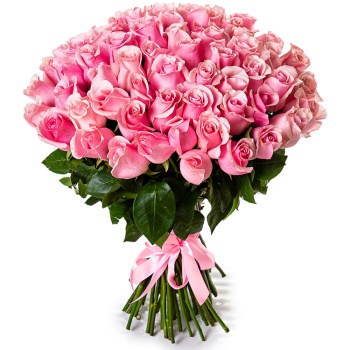 75 розовых роз Эквадор 70 см