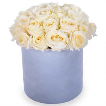 Букет из 35 белых роз premium в серой бархатной шляпной коробке